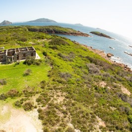 a close up of a hillside next to a body of water