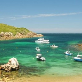 a small island in the middle of a body of water