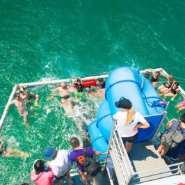 a man swimming in the water