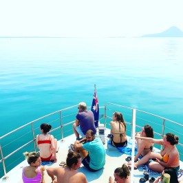 a group of people sitting in front of a body of water