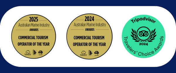 Three awards: 2025 and 2024 Australian Marine Industry, 2024 TripAdvisor Travelers' Choice.