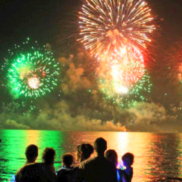 a group of fireworks in the sky