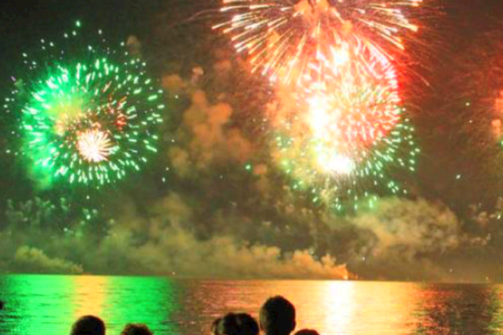 a group of fireworks in the sky