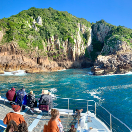Whale Watching Moonshadow TQC Cruises Port Stephens