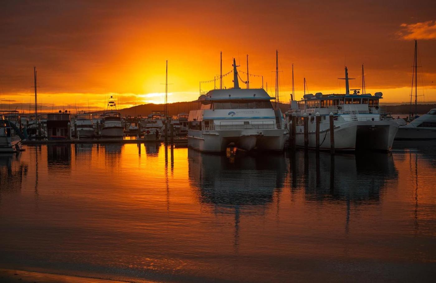 Sunset Cruise in Port Stephens | Moonshadow - TQC Cruises