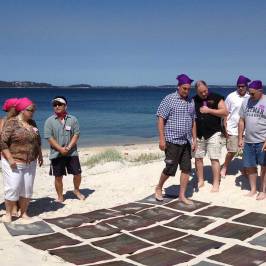 a group of people walking on a beach