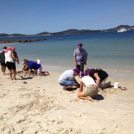 a group of people sitting at a beach