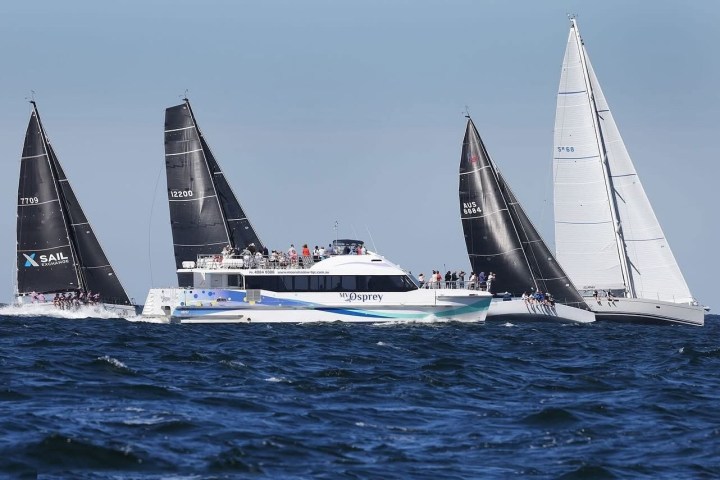 Yacht race with four sailboats and a spectator boat on open sea under a clear sky.