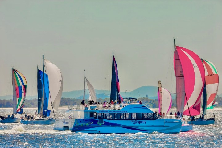 Colorful sailboats and a blue catamaran in a regatta on a sunny day.