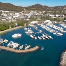 moonshadow tqc whale watch cruise port stephens