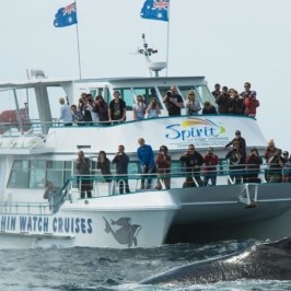 a group of people on a boat in the water