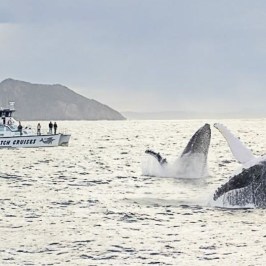 a boat on a body of water
