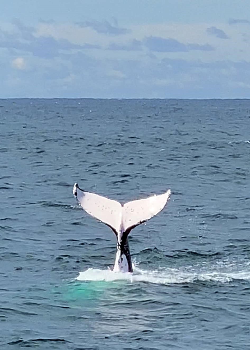 a body of water next to the ocean