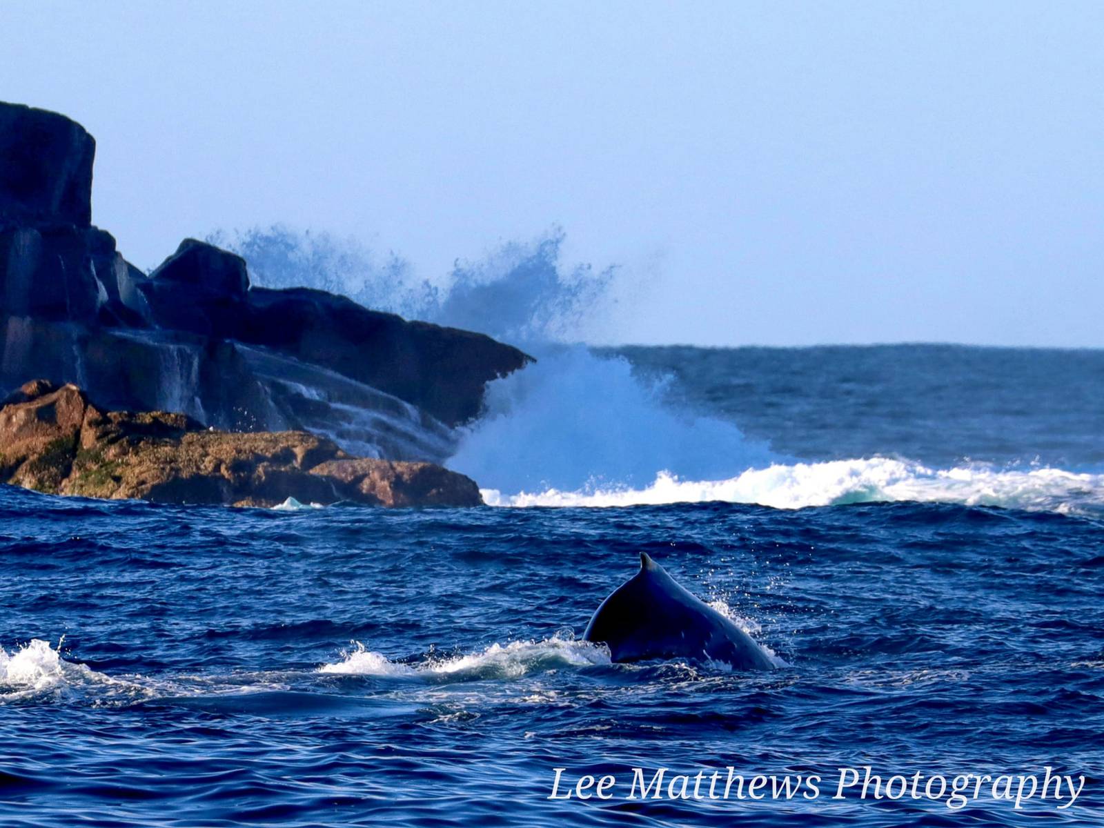 a man riding a wave on top of a body of water