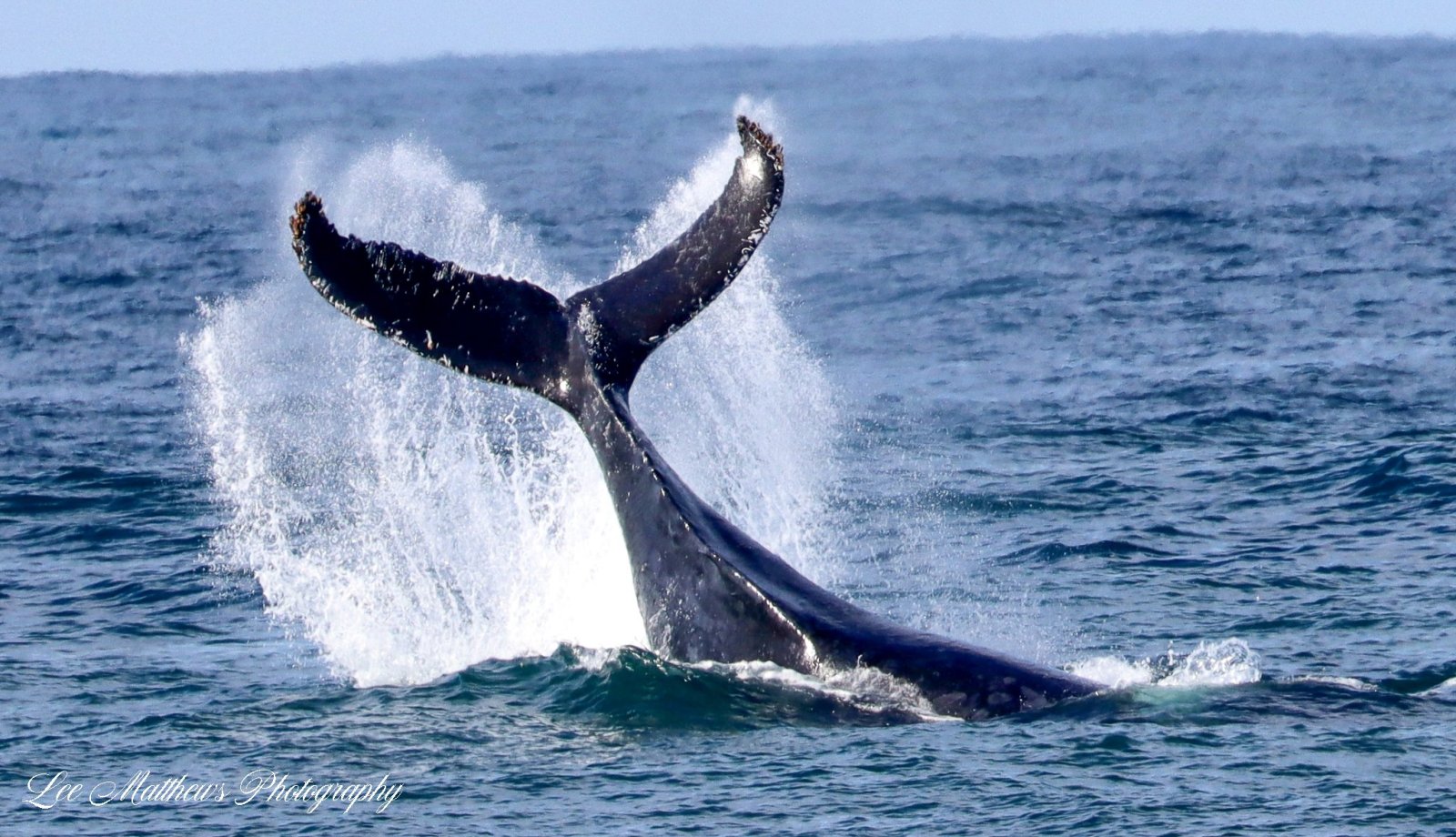 a man riding a wave on a surfboard in the water