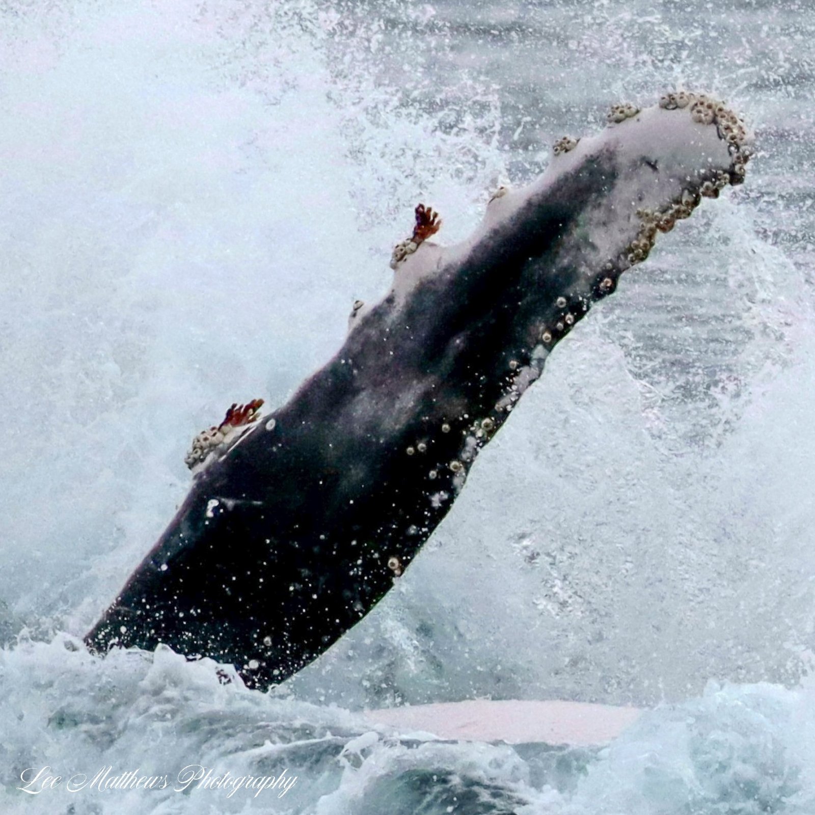 a man riding a wave on a surfboard in the water