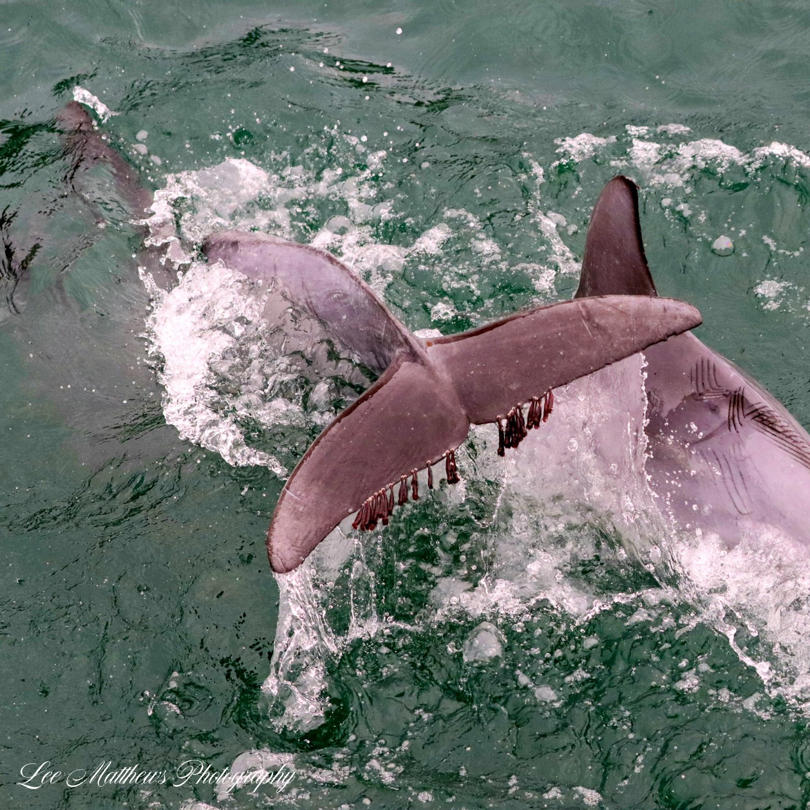 a man riding a wave on a surfboard in the water
