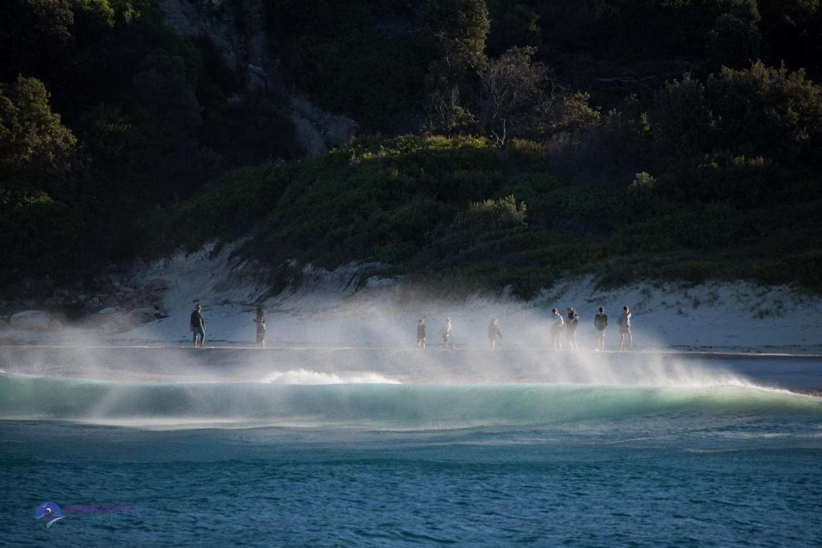 a group of people riding skis on a body of water