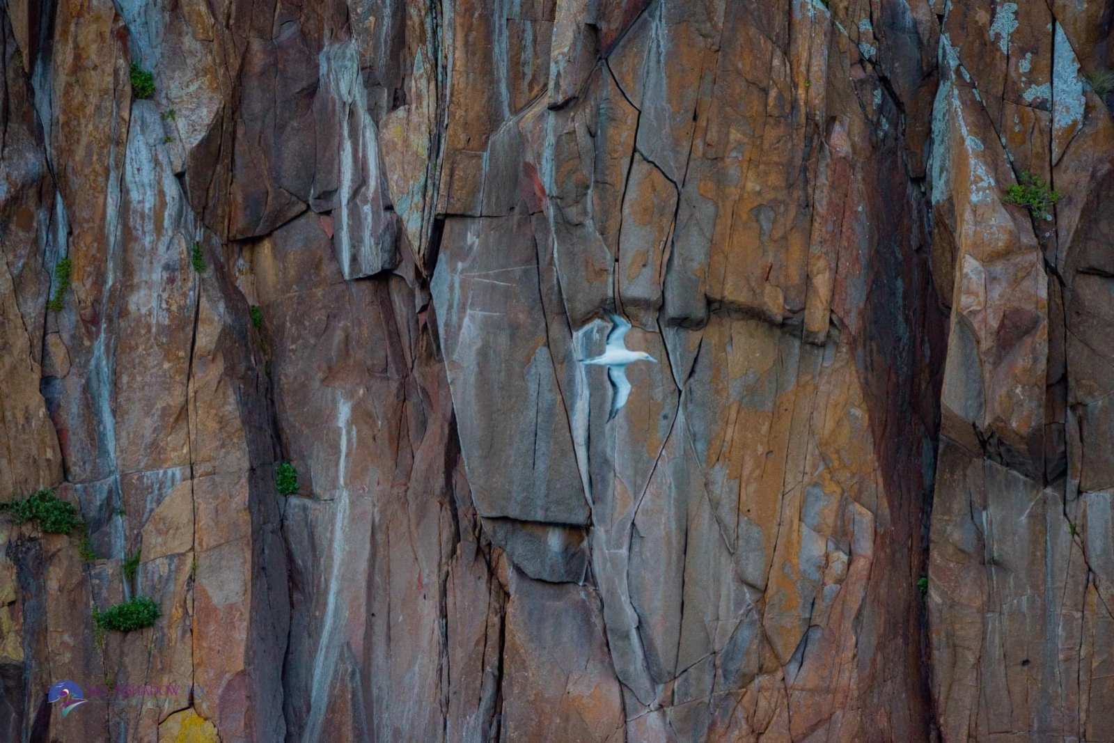 a close up of a tree