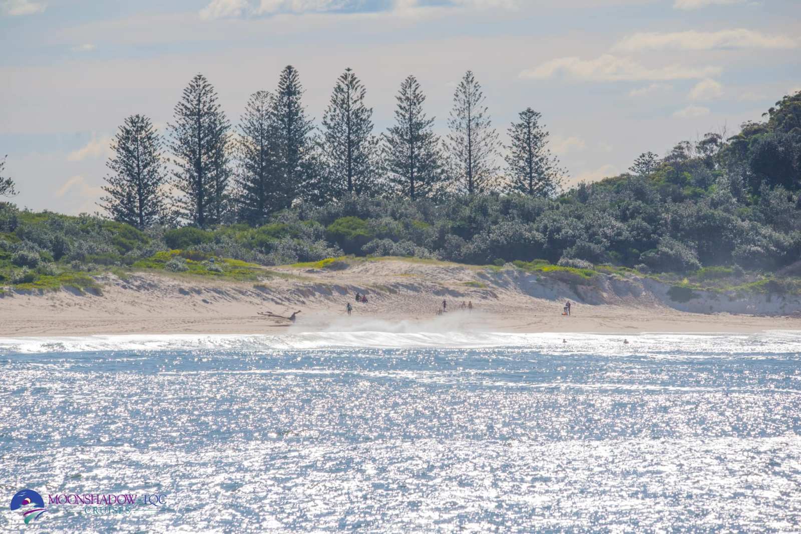 Whale Watching Moonshadow TQC Cruises Port Stephens