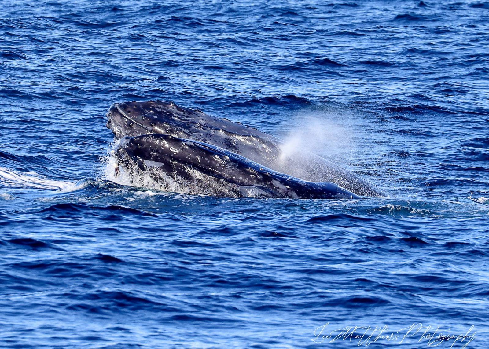 a man riding a wave on top of a body of water