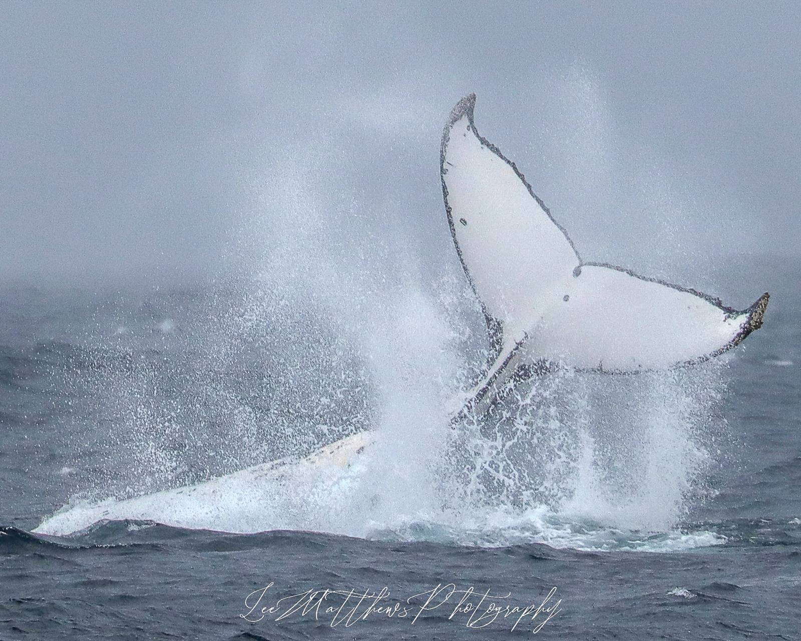 a man flying through the air while riding a wave