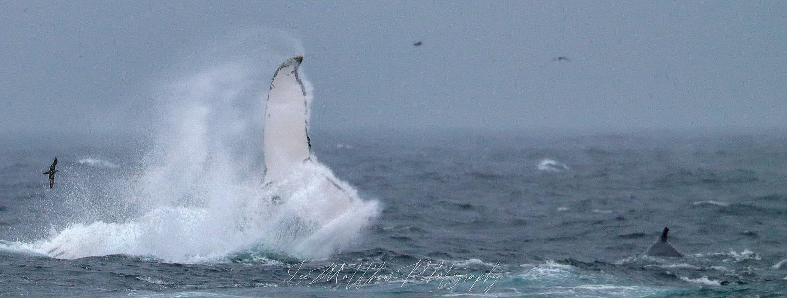 a man flying through the air while riding a wave in the ocean