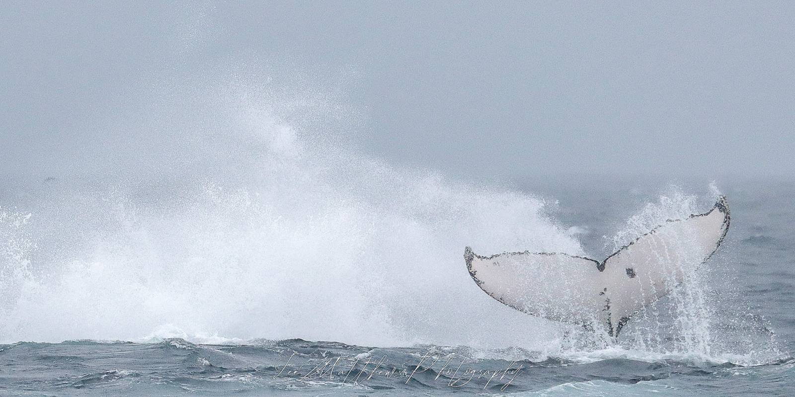 a man riding a wave on a surfboard in the water