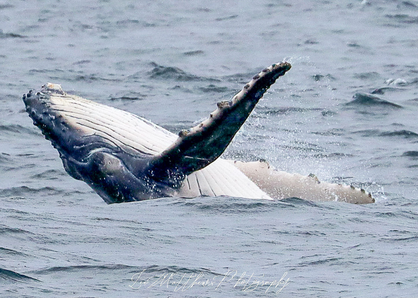 a man flying through the air over a body of water
