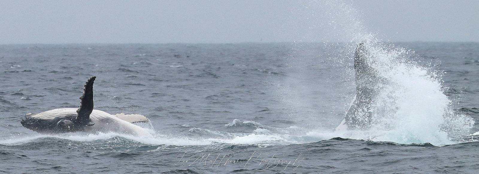 a man flying through the air while riding a wave in the ocean
