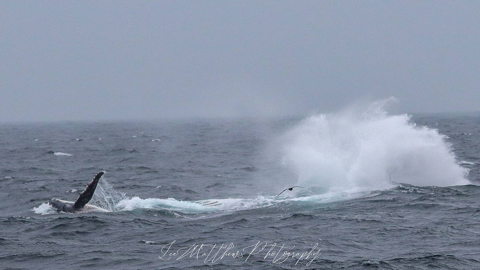 a man flying through the air while riding a wave in the ocean