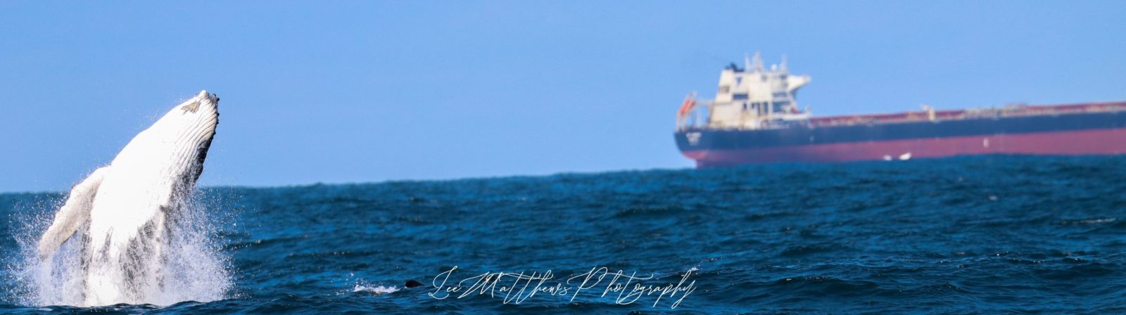 a small boat in a body of water