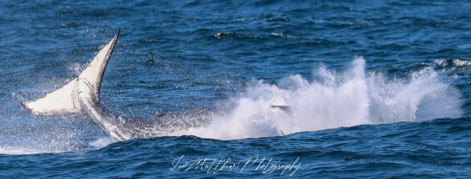 a man riding a wave on a surfboard in the water