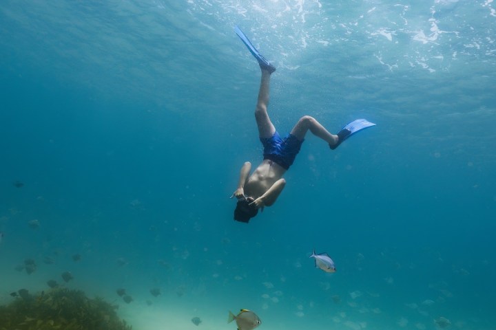 a man flying through the air while swimming in a body of water