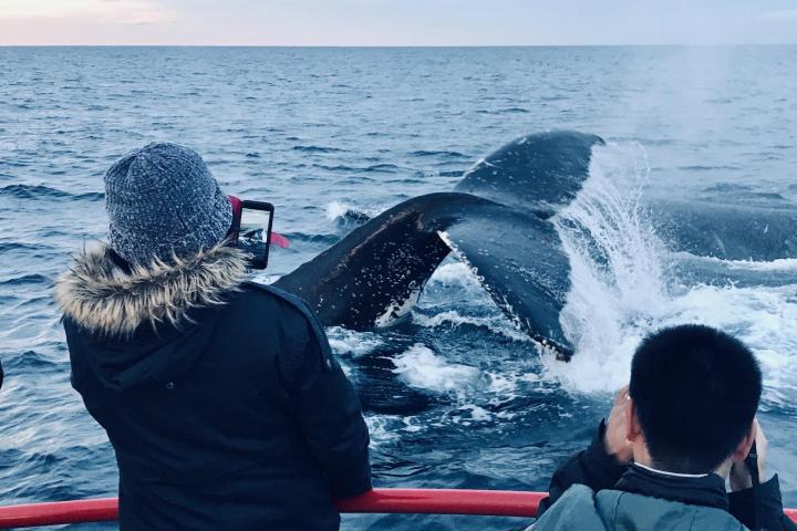 a man standing next to a body of water