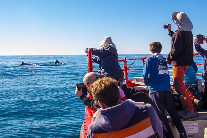 a group of people on a boat in the water