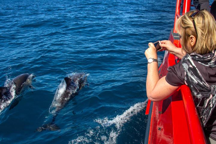 a person standing next to a body of water