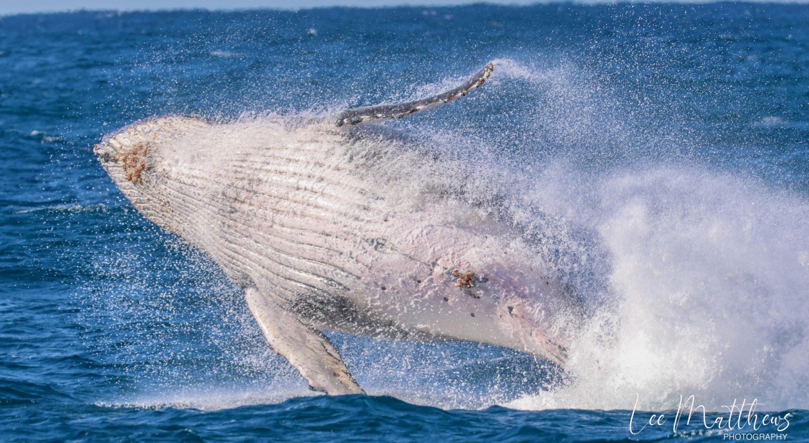 a man flying through the air while riding a wave in the ocean