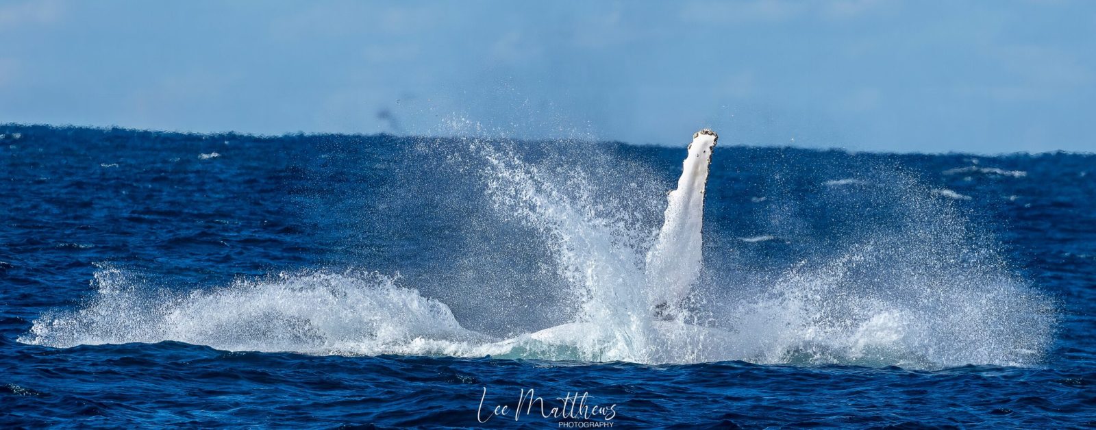 a man flying through the air while riding a wave in the ocean