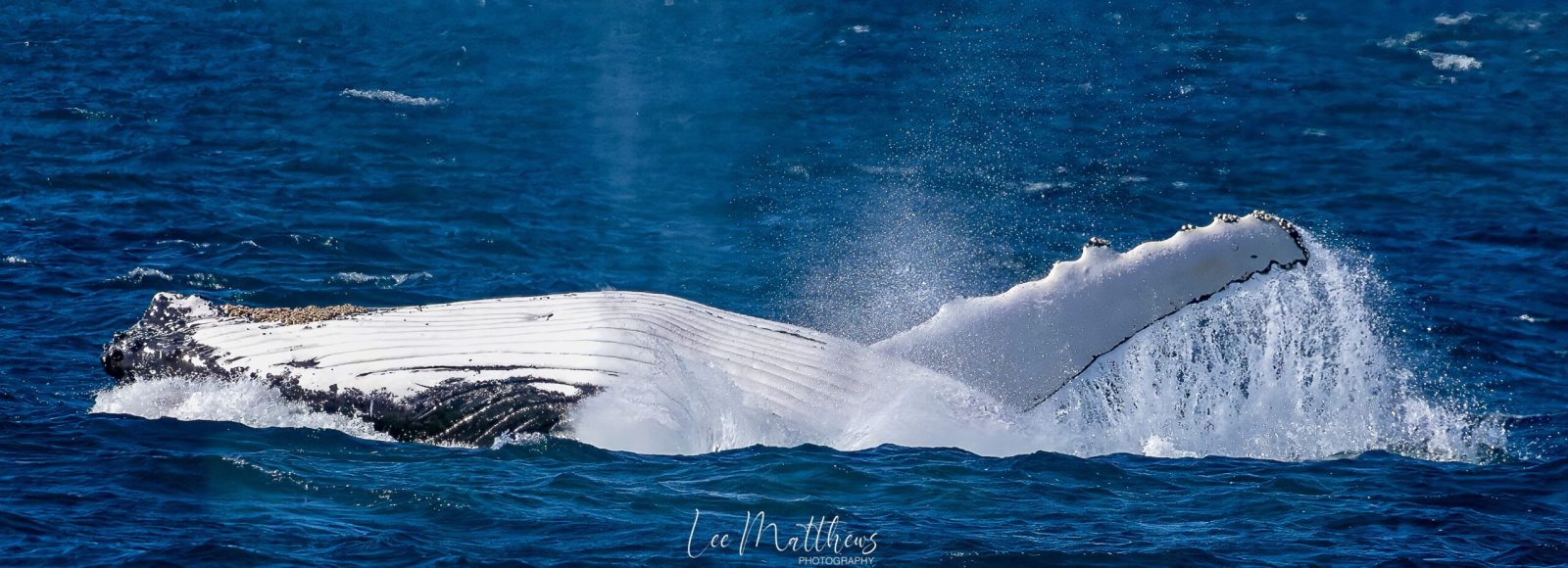 a man riding a wave on a surfboard in the water