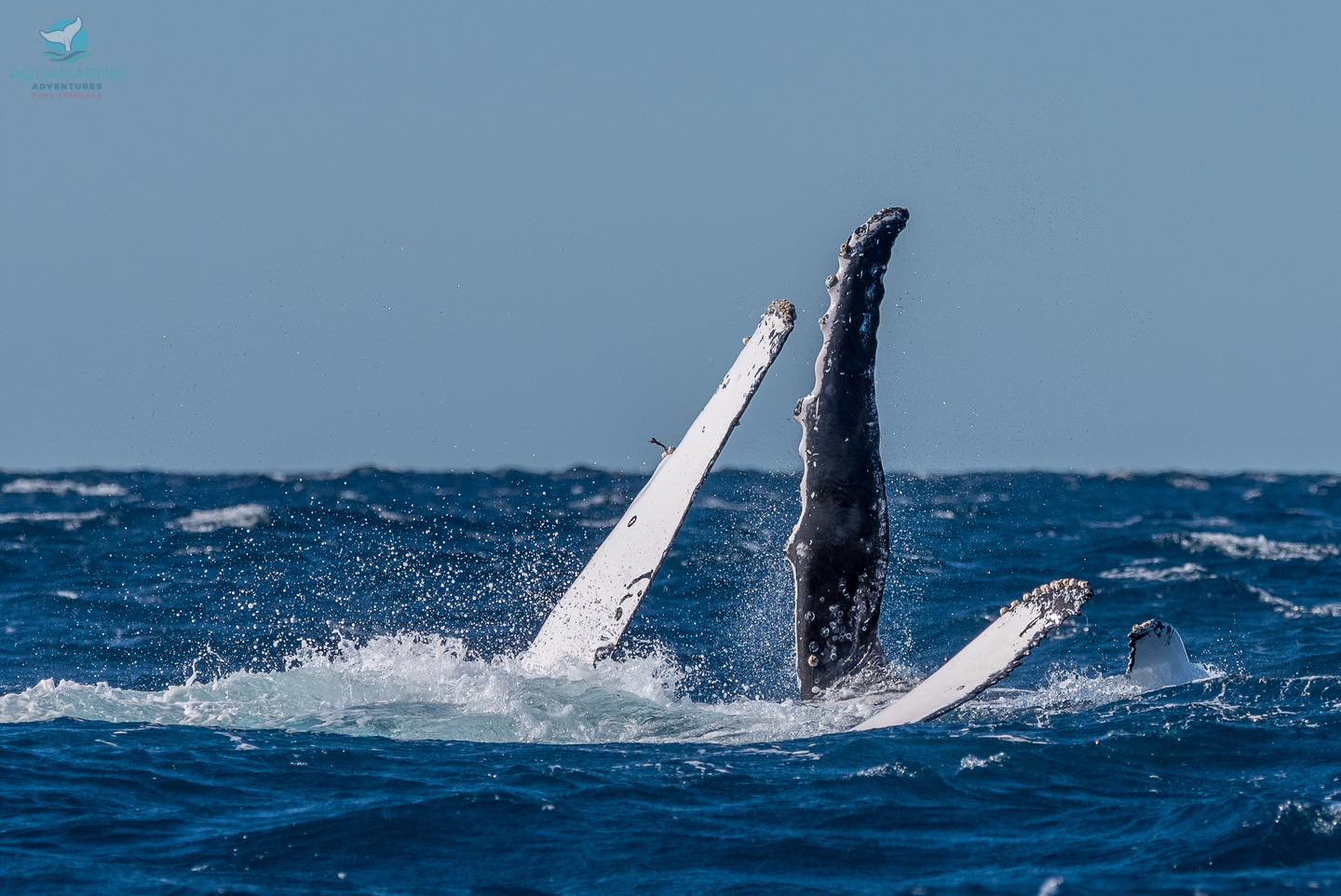 a man flying through the air while riding a wave in the ocean