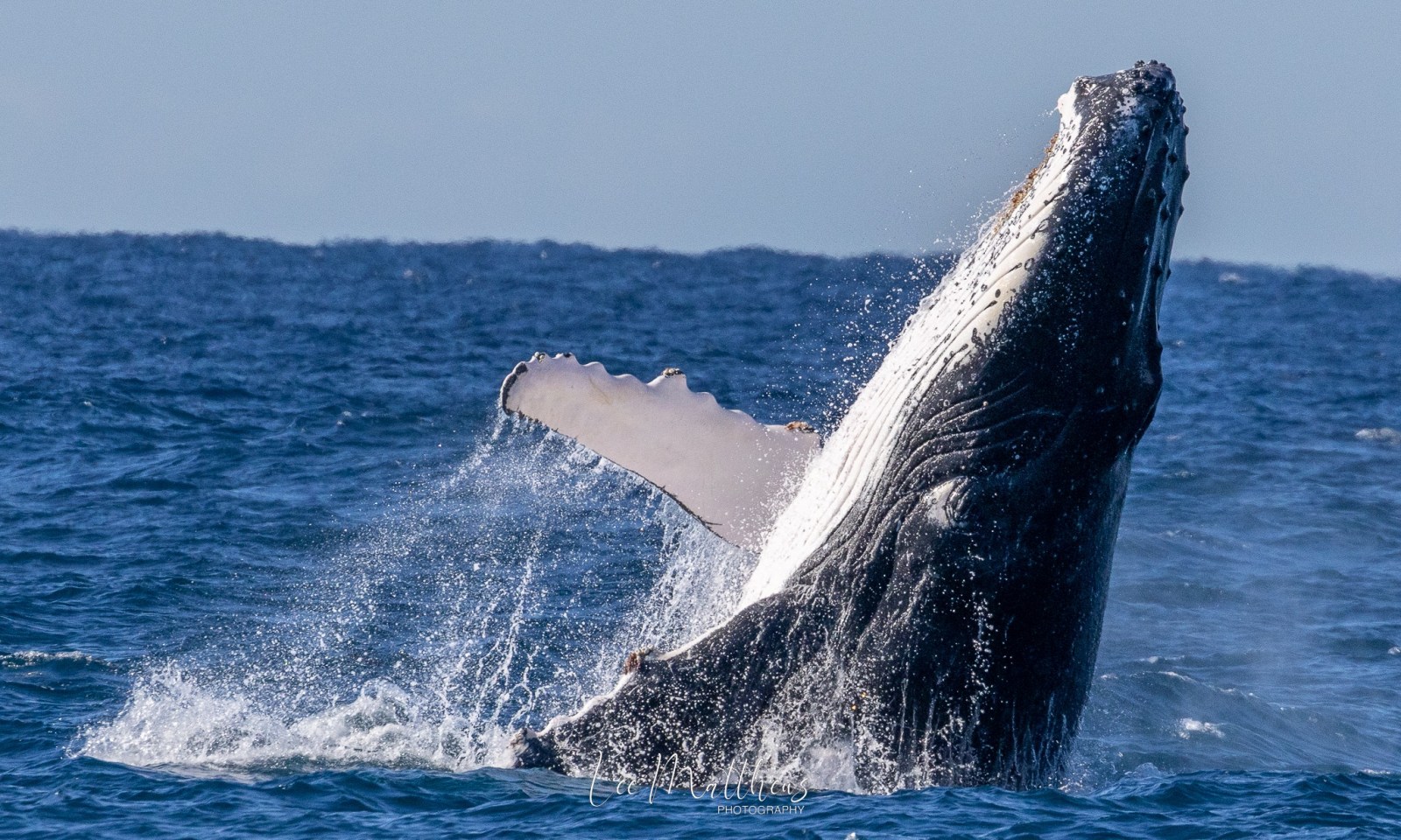 a man riding a wave on a surfboard in the water