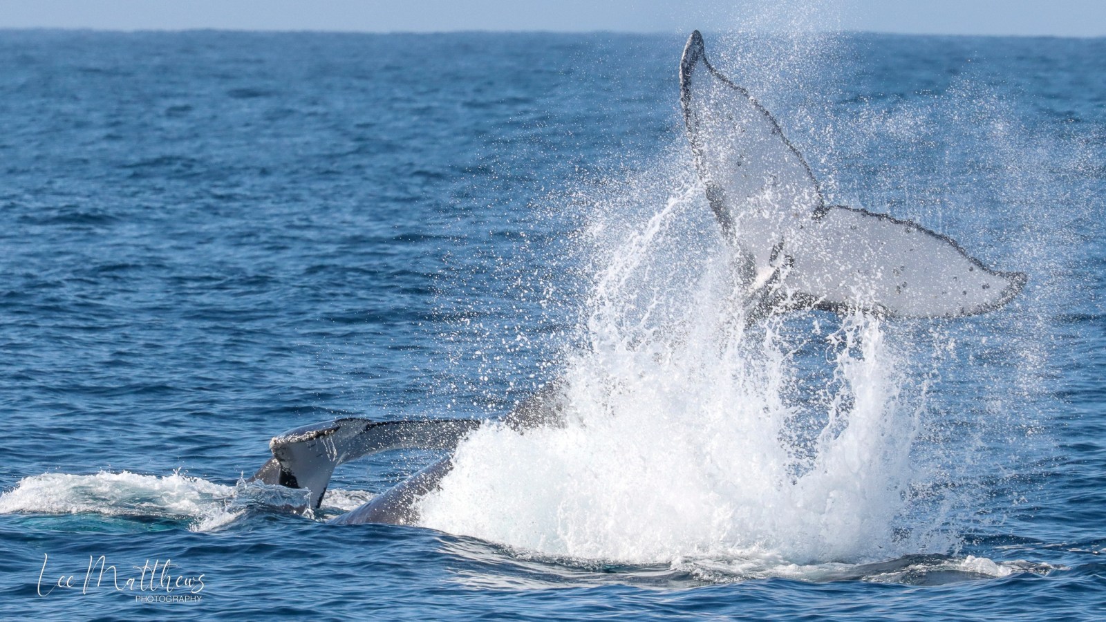 a man riding a wave on a surfboard in the water