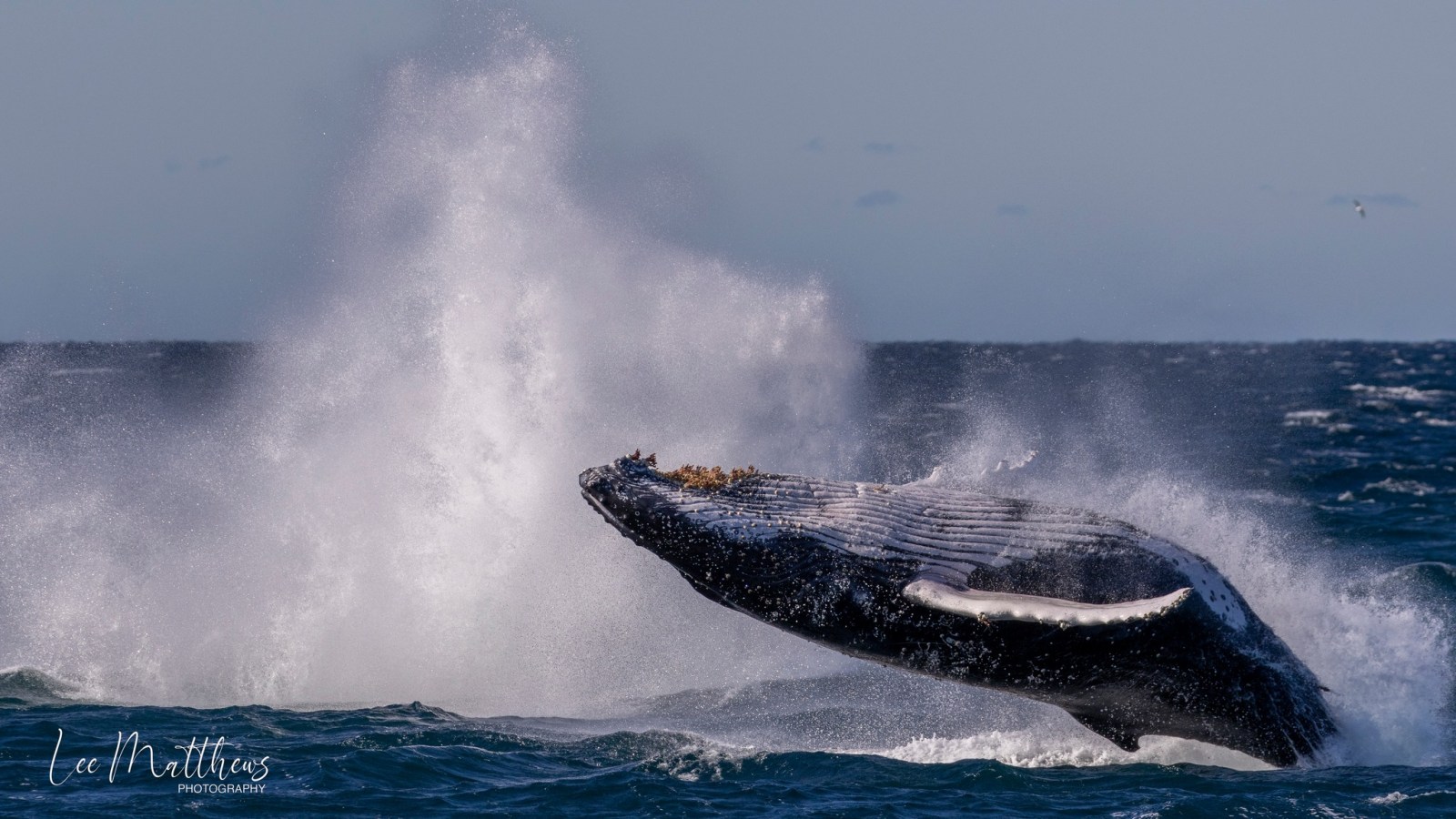 a man flying through the air while riding a wave in the ocean