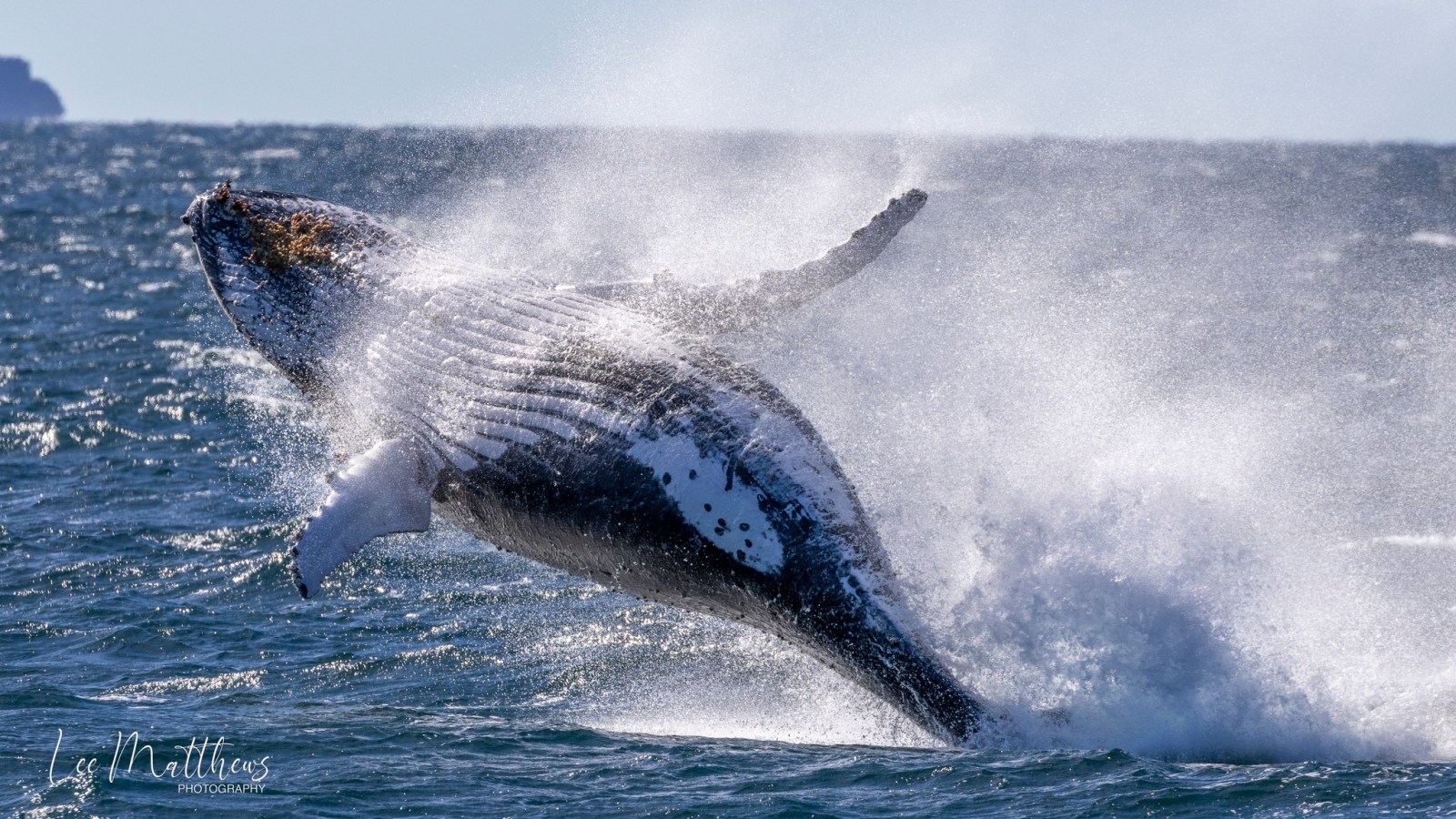 a man riding a wave on a surfboard in the water