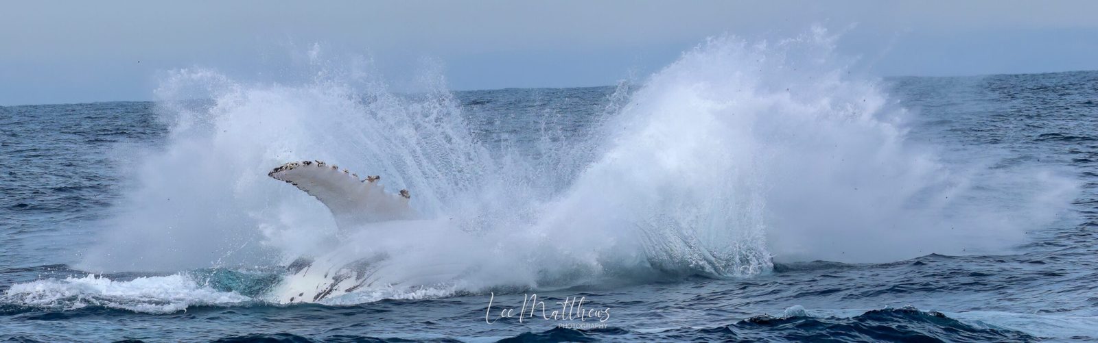 a man riding a wave on a surfboard in the water