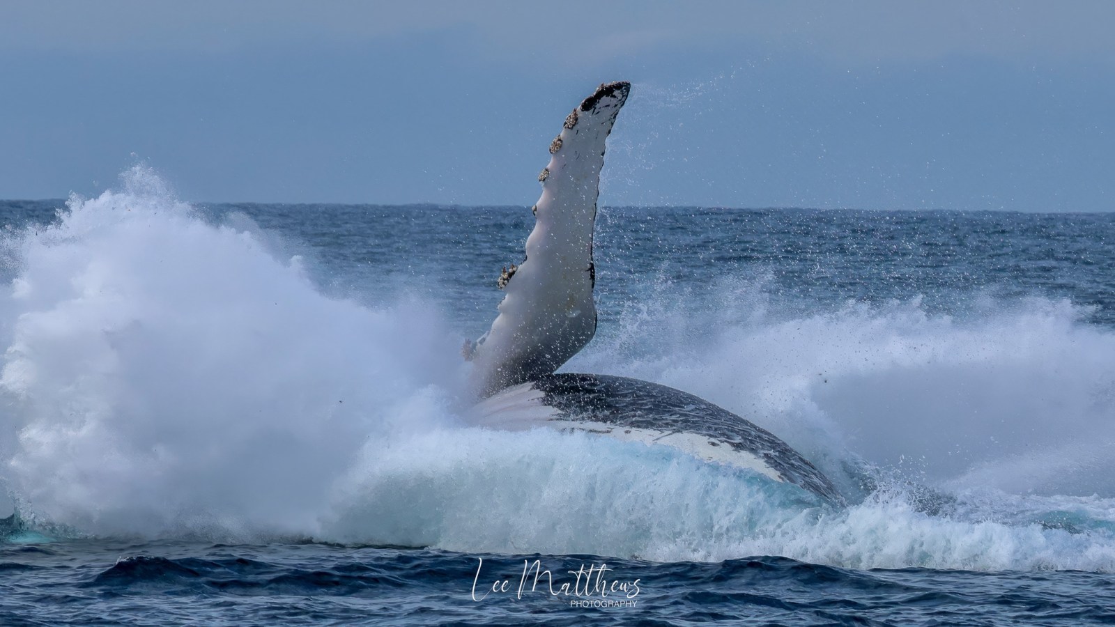 a man flying through the air while riding a wave in the ocean