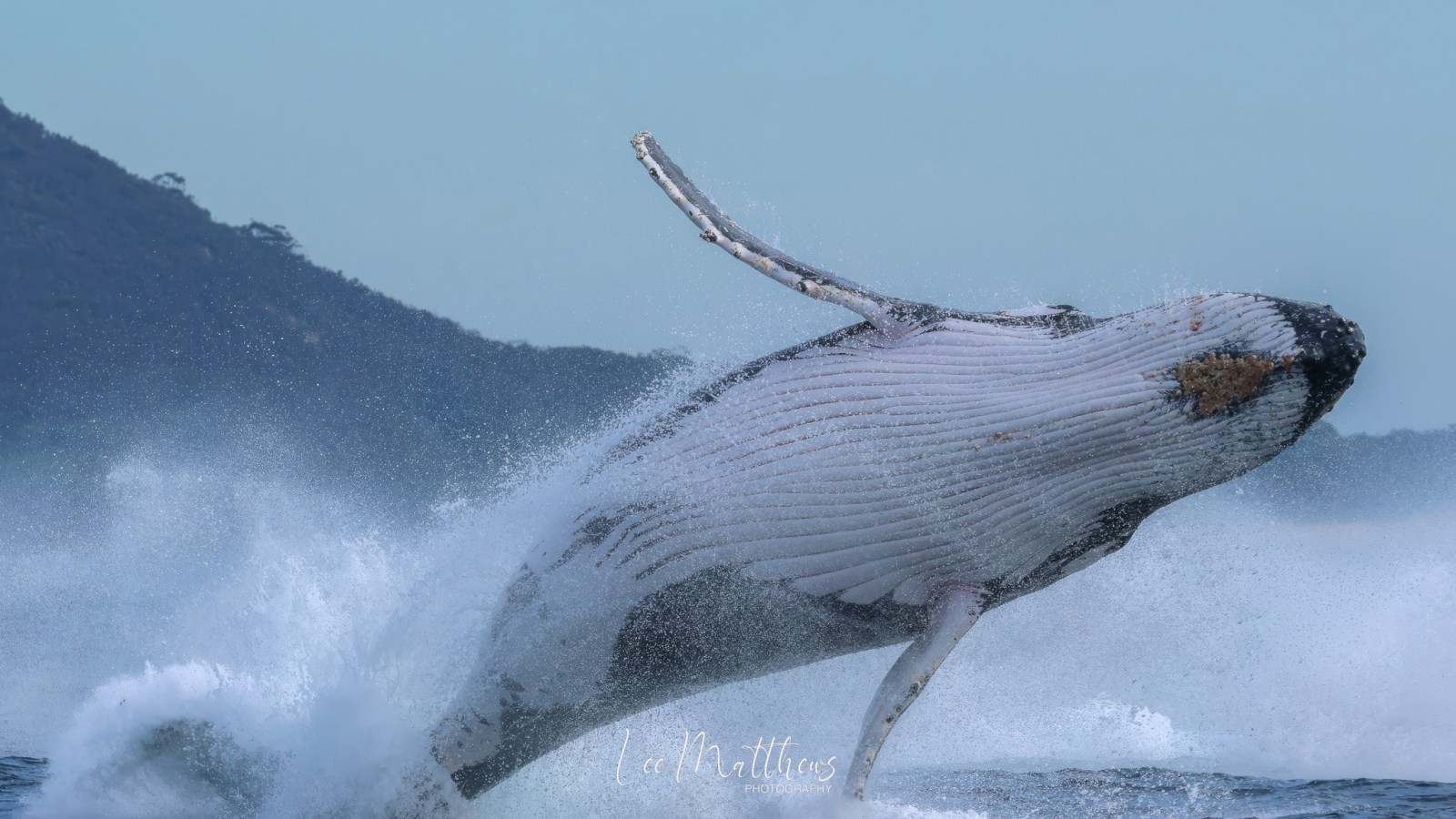 a man riding a wave on top of a body of water