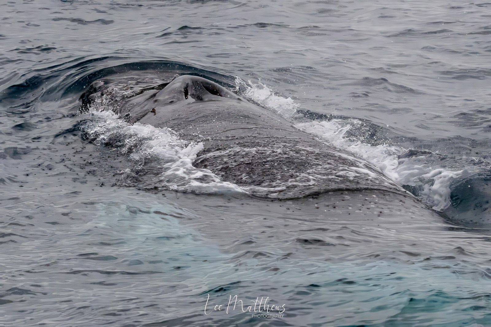 a man riding a wave on top of a body of water