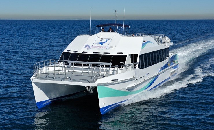 MV Osprey WHALE WATCHING PORT STEPHENS MOONSHADOW TQC CRUISES